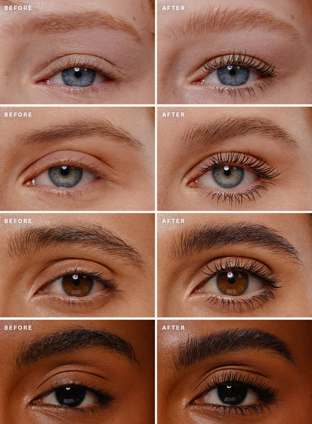 Selena's Lash & Brow Duo