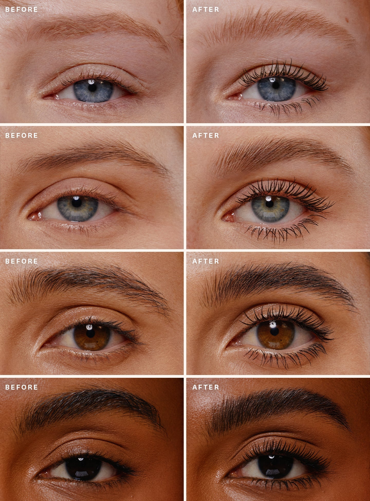 Selena's Lash & Brow Duo